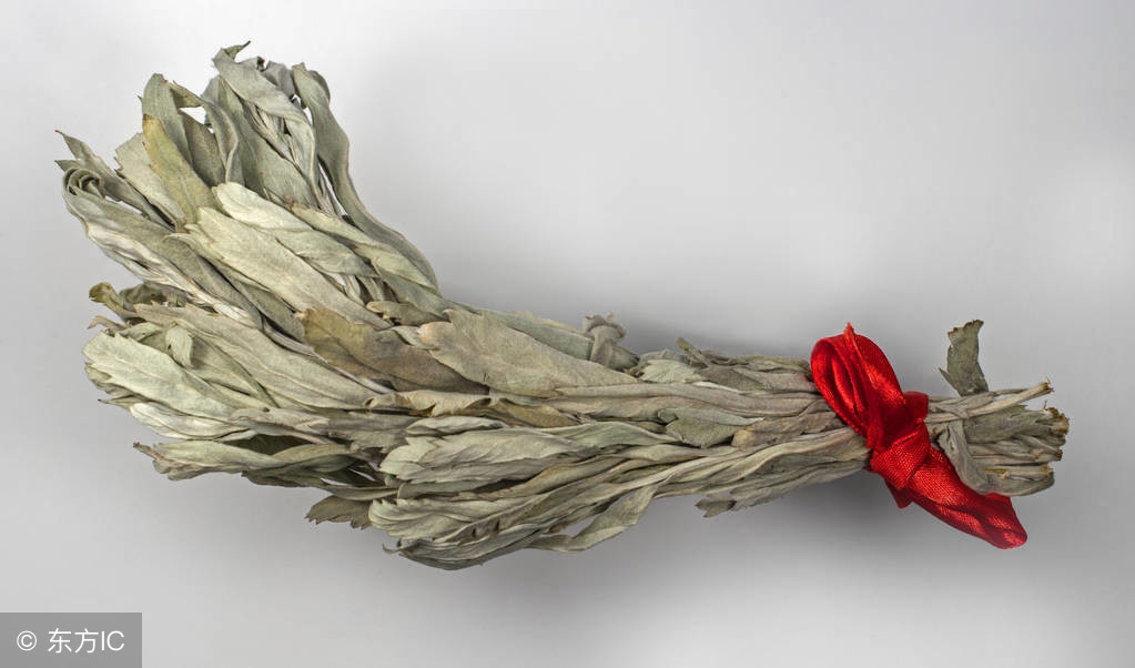 中草药之艾叶,中草药艾叶是什么样