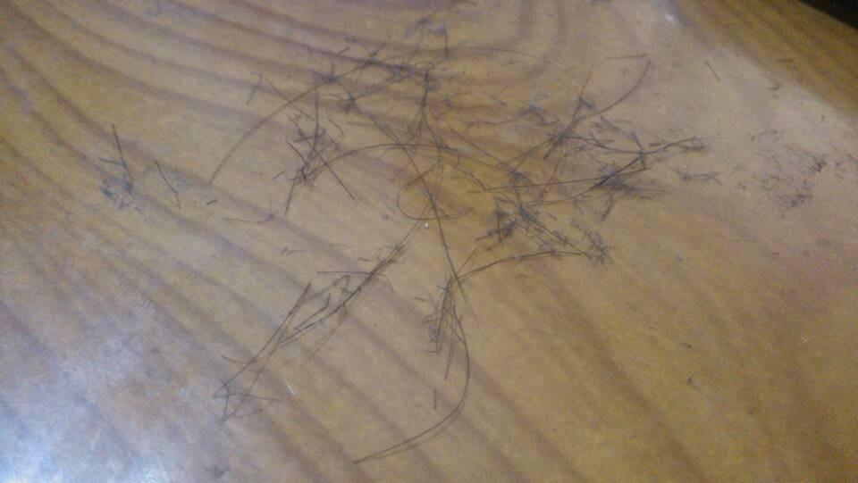 如何处理家里毛发满天飞,家里到处都是毛发怎么办