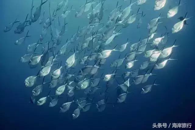 泰国9个最不能错过的美丽海岛,比普吉岛还美的度假天堂