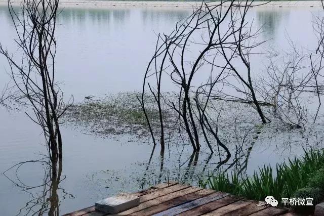 平桥美丽乡村,平桥区漂亮乡村