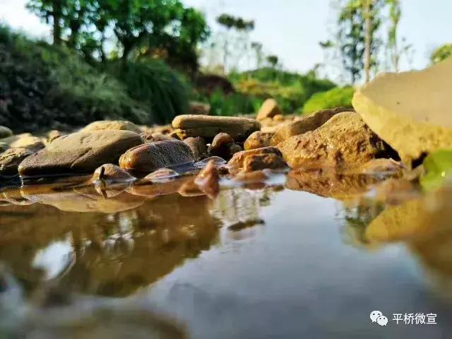 平桥美丽乡村,平桥区漂亮乡村