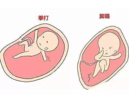 孕期胎动——宝宝健康的晴雨表