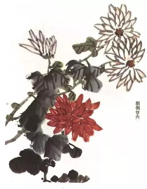 国画基础画菊花该如何构图才好看,国画菊花怎么画简单画法