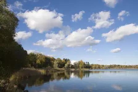 实用家庭急救方法,家庭常备穴位推拿