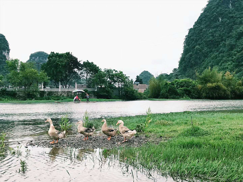 清明时节，醉美桂林6日游