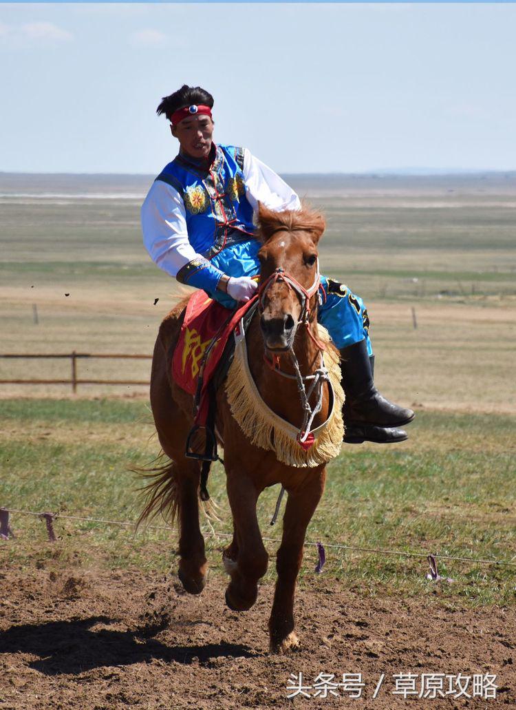 马之舞巴尔虎,玛之舞巴尔虎最新