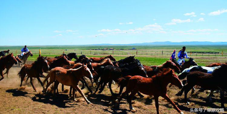 马之舞巴尔虎,玛之舞巴尔虎最新