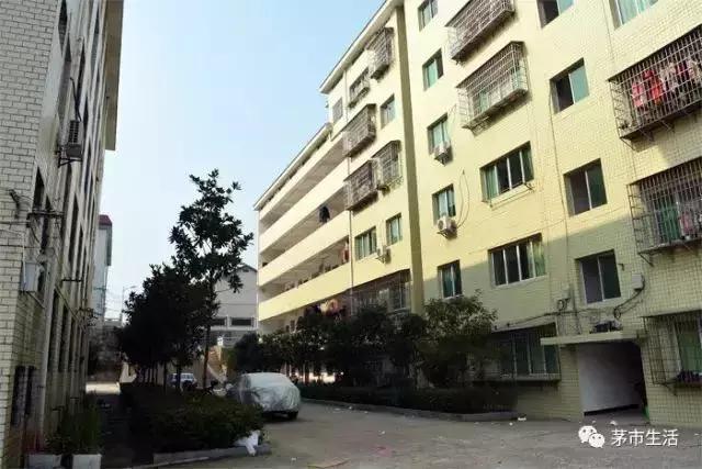 茅市附中岭上的铁塔/周小波