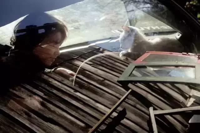 小猪佩奇擦亮眼睛看清事实,小猪佩奇最大的亮点