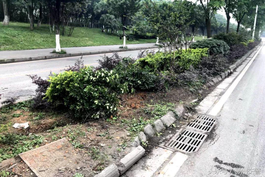 【内附视频】小客车“倒立”！小轿车“练地”带倒路灯！这样的特技大片可不好