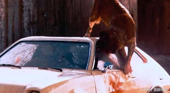 为什么会有人被称为大师,为什么把大师称为先生