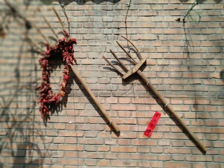 里外院，定格儿时最真的记忆