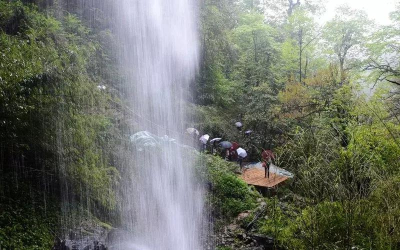 成都周边洗肺好去处,成都周边私藏的8个洗肺胜地