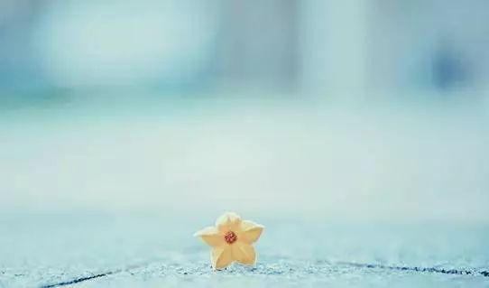 海边ins冷淡风格拍照,ins风写真照片高级感