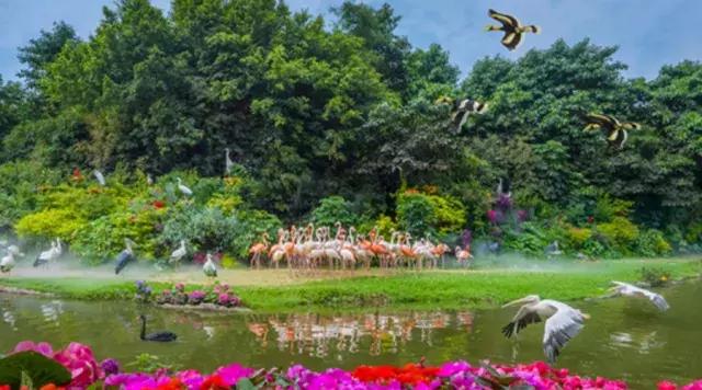 东莞香市动物园和广州动物园,长隆野生动物园和广州动物园区别