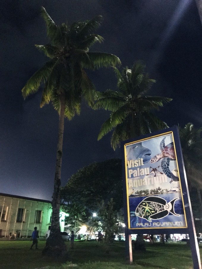 不需要做任何攻略就去的海岛国家!这样便可以玩转帕劳!