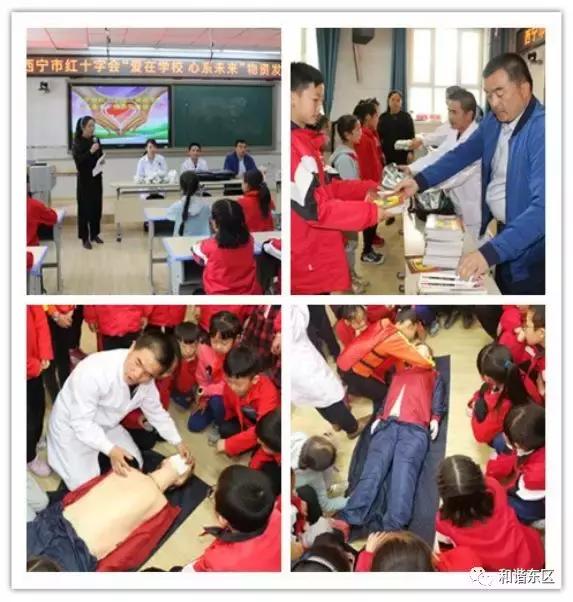 并蒂携手做奉献人道花开在春天——城东区红十字会开展学校创伤救护情景展示、应急救护培训活动