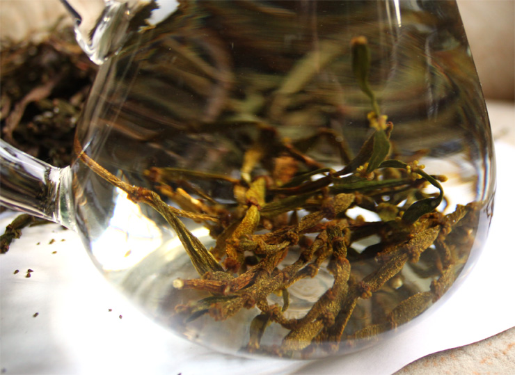 普洱茶的秘密您都知道了吗,普洱茶的神奇故事有哪些