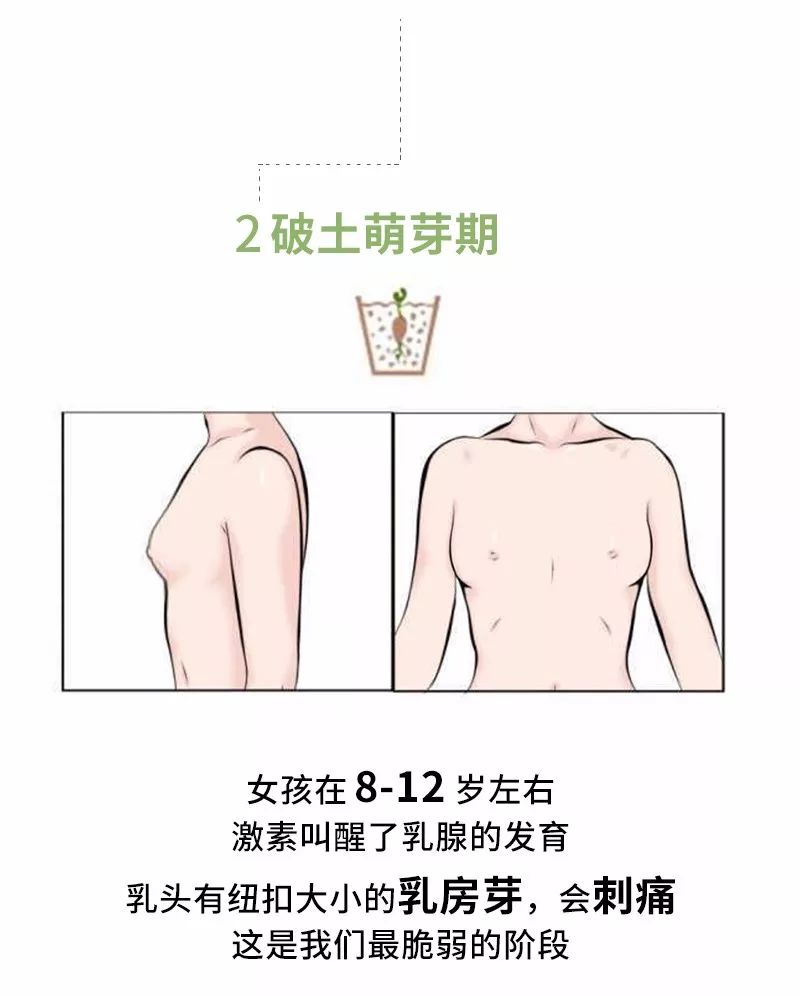 穿什么样的内衣对乳房发育有好处,乳房发育到什么样可以穿内衣