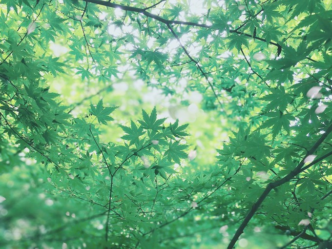 九溪虽小你却没用心体验过，别有一方风味