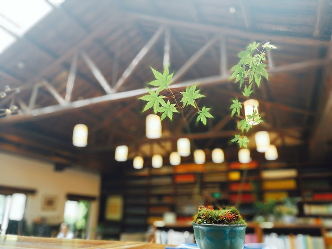 九溪虽小你却没用心体验过，别有一方风味