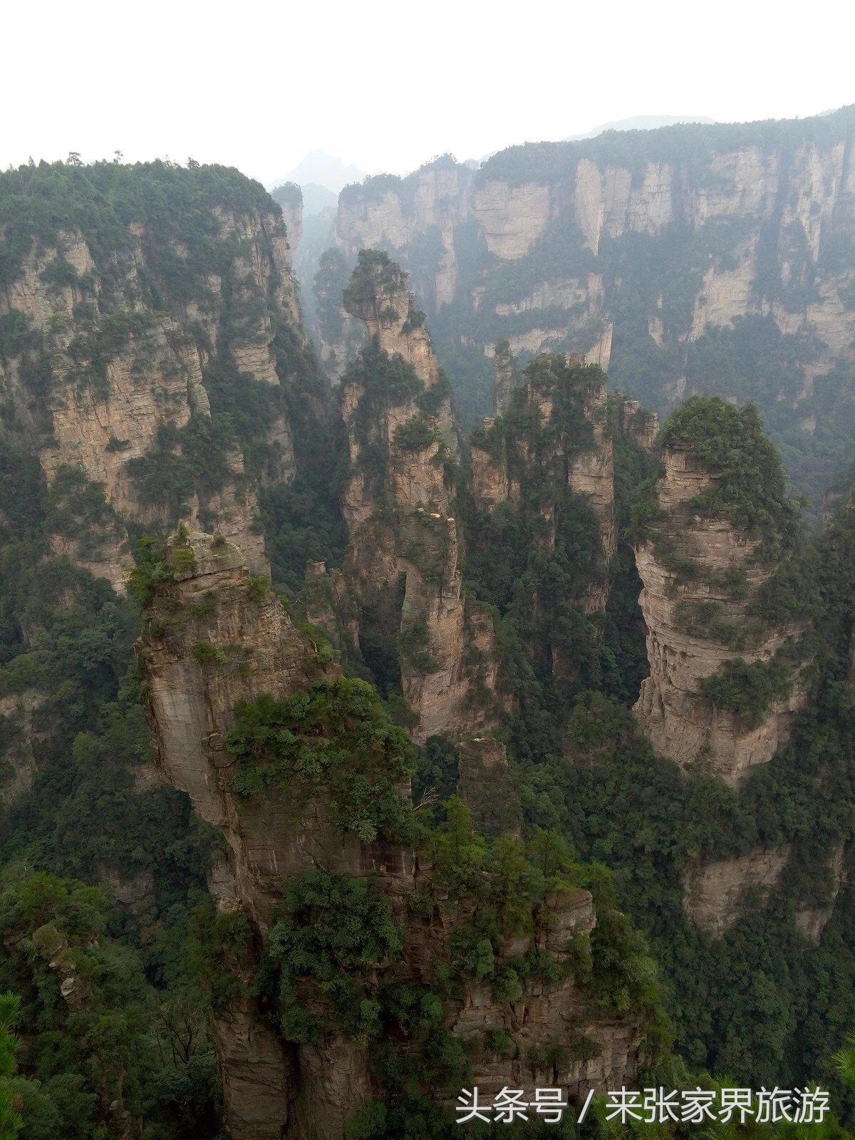 山东到张家界凤凰五日游攻略图文,佛山去张家界旅游攻略路线推荐图