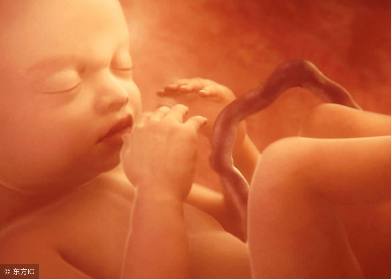 孕妈发现胎儿异常,孕妈检测胎动不料肚里的娃真给力