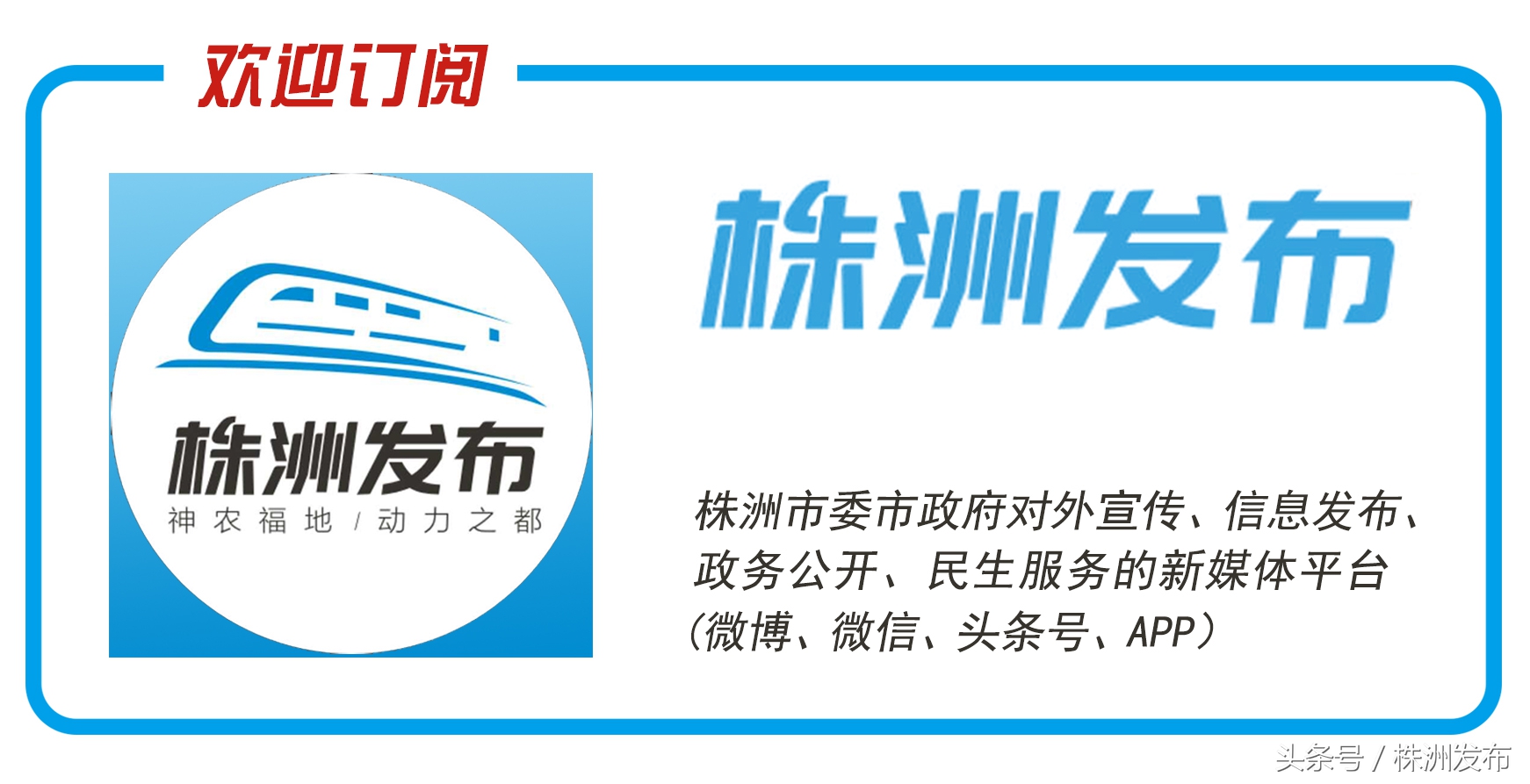 巴西足球盘带大师里瓦尔多,里瓦尔多评价巴西新星