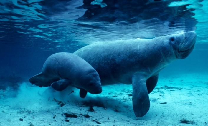 被潜水爱好者誉为10个全球最迷人的潜水天堂，大饱你眼福