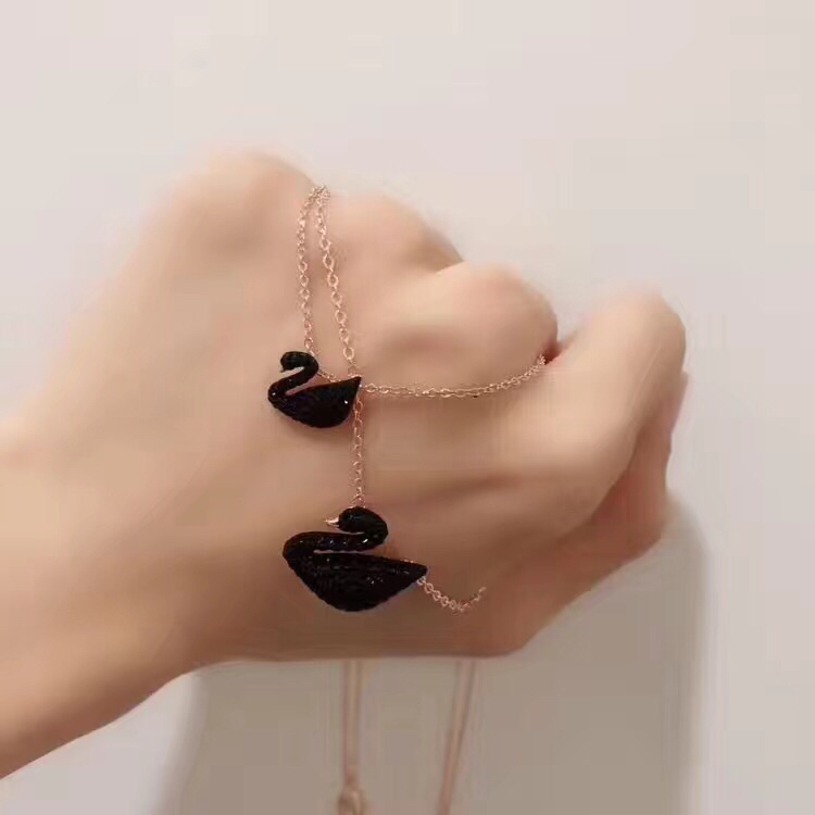 惊喜黑天鹅飞临凉水河优雅又漂亮 (黑天鹅很美)