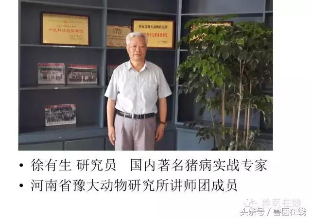 猪病兽医必看的蓝耳病现场诊断