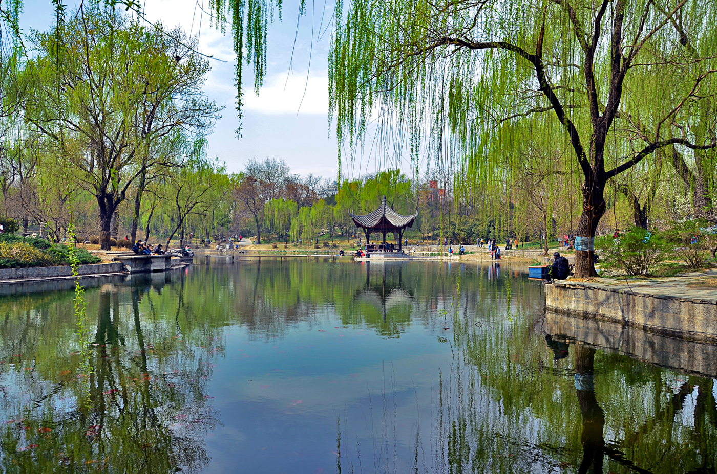 中国四大名亭完整视频,中国四大名亭全景