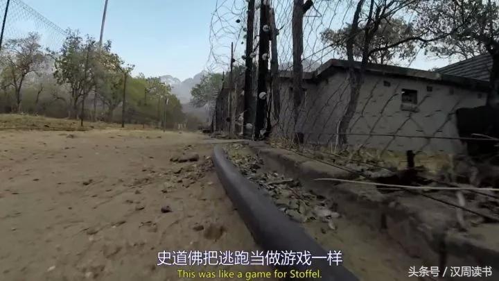 非洲平头哥张狂不是我的本性但是惹我就等于自杀