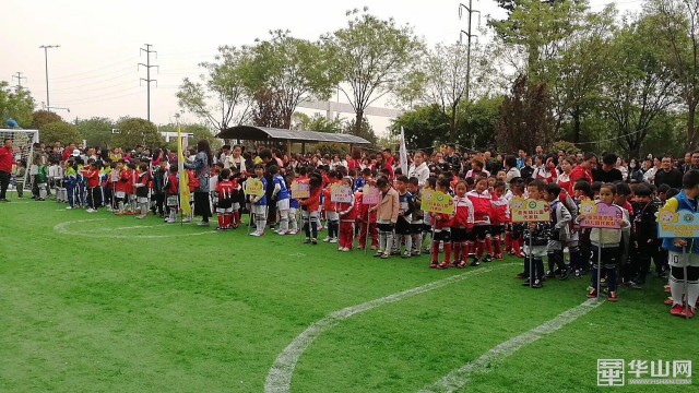 临渭区幼儿足球比赛,渭南少儿足球比赛