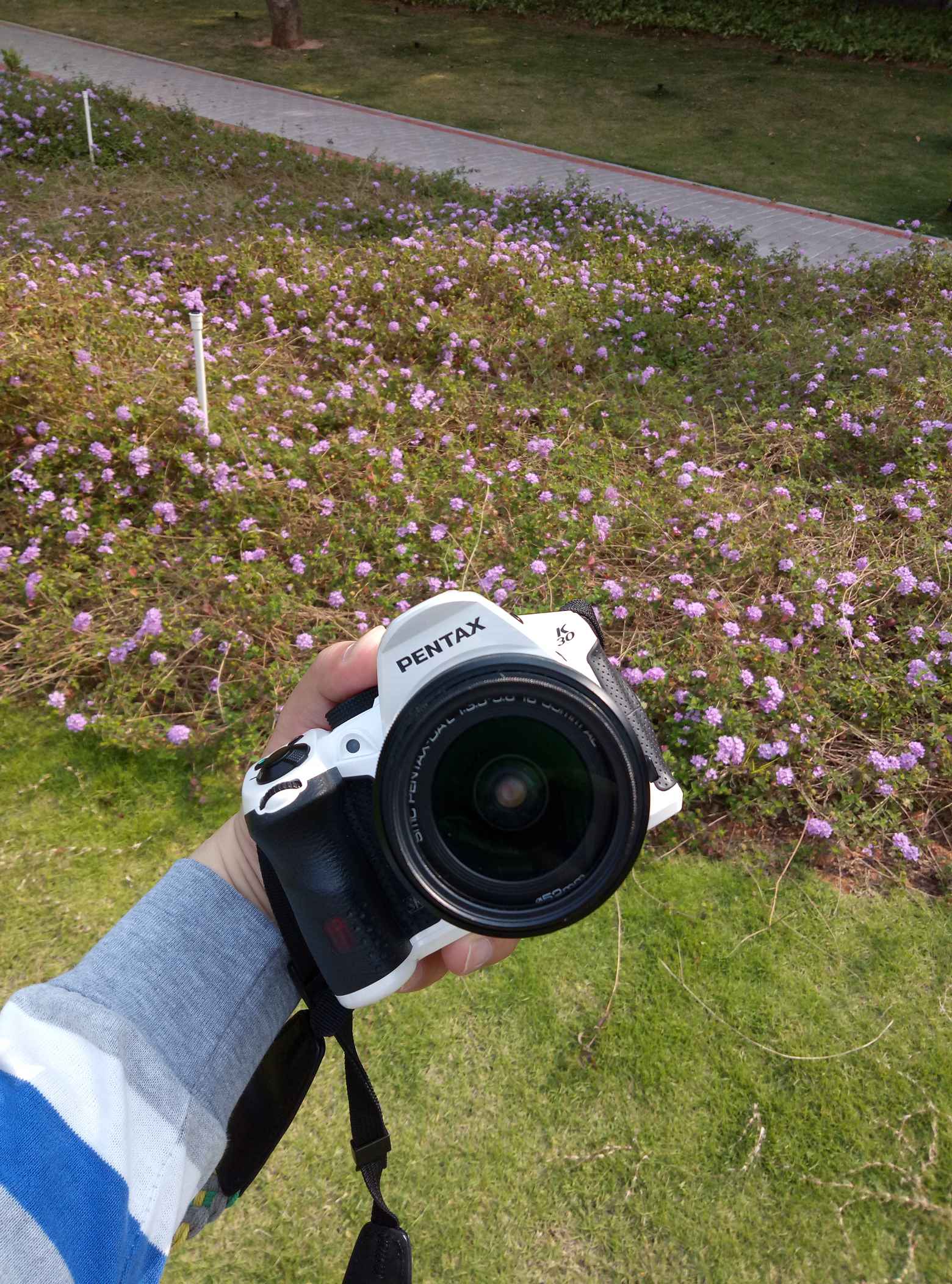 宾得k30图片,宾得k30样片