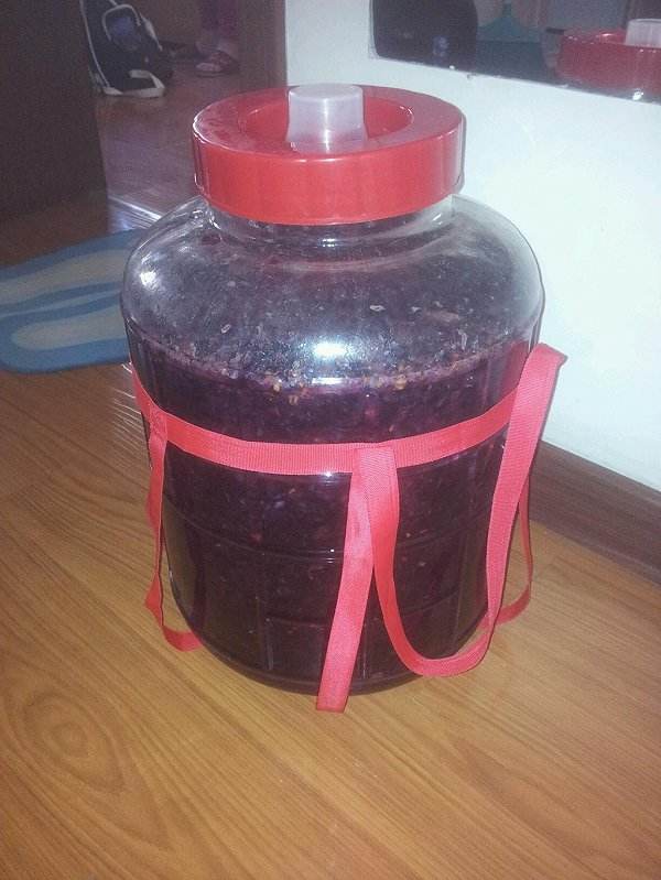 自己在家制作葡萄酒怎么做,在家酿制葡萄酒全部教程