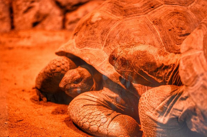 爱旅行爱生活之海南三亚蜈支洲,爱旅行游记攻略