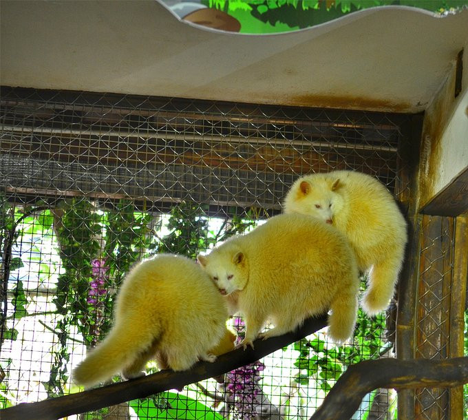 爱旅行爱生活之海南三亚蜈支洲,爱旅行游记攻略