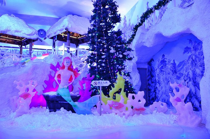 爱旅行爱生活之海南三亚蜈支洲,爱旅行游记攻略