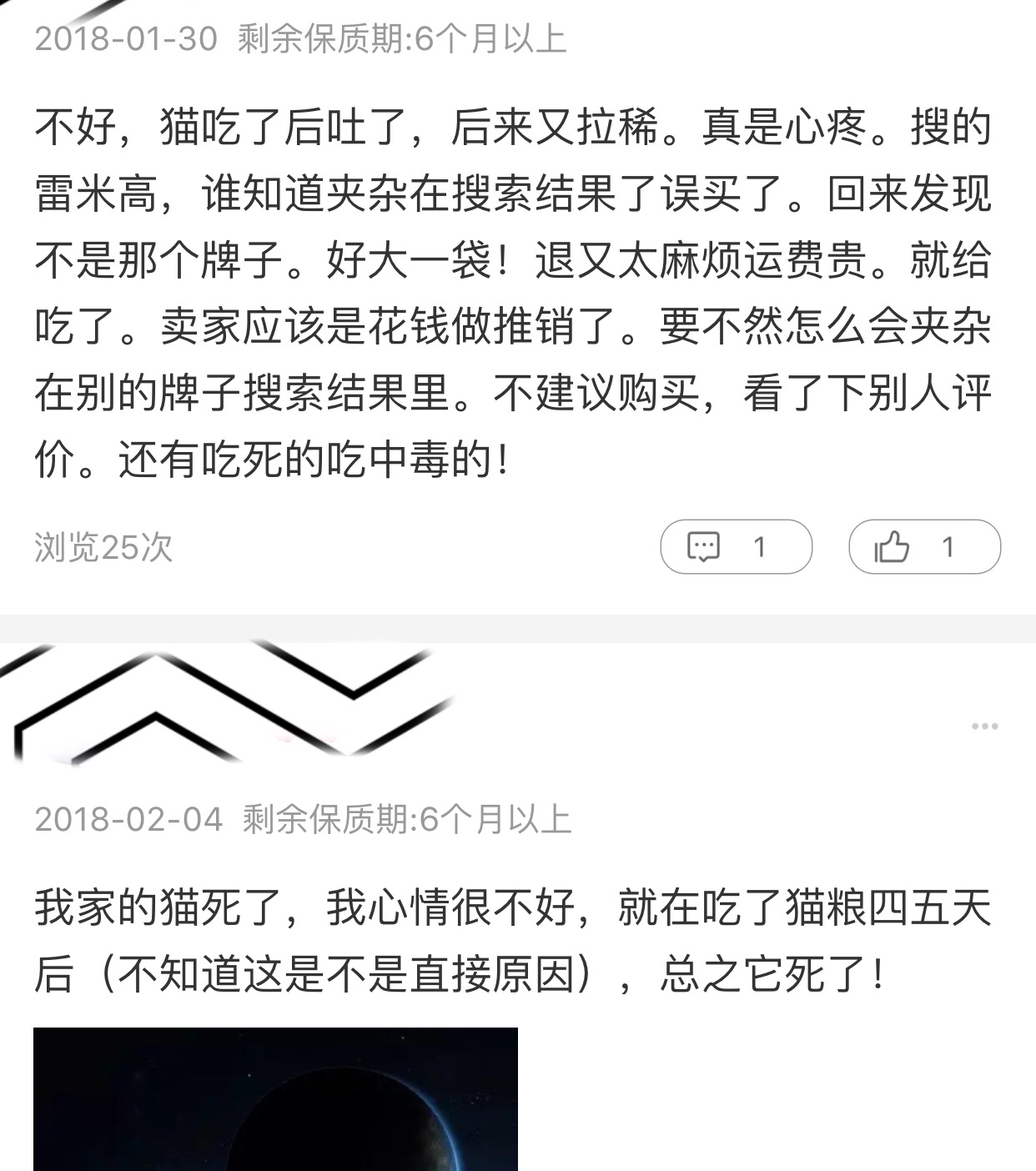 一份猫粮搞定五只小奶猫,一公斤猫粮多少钱