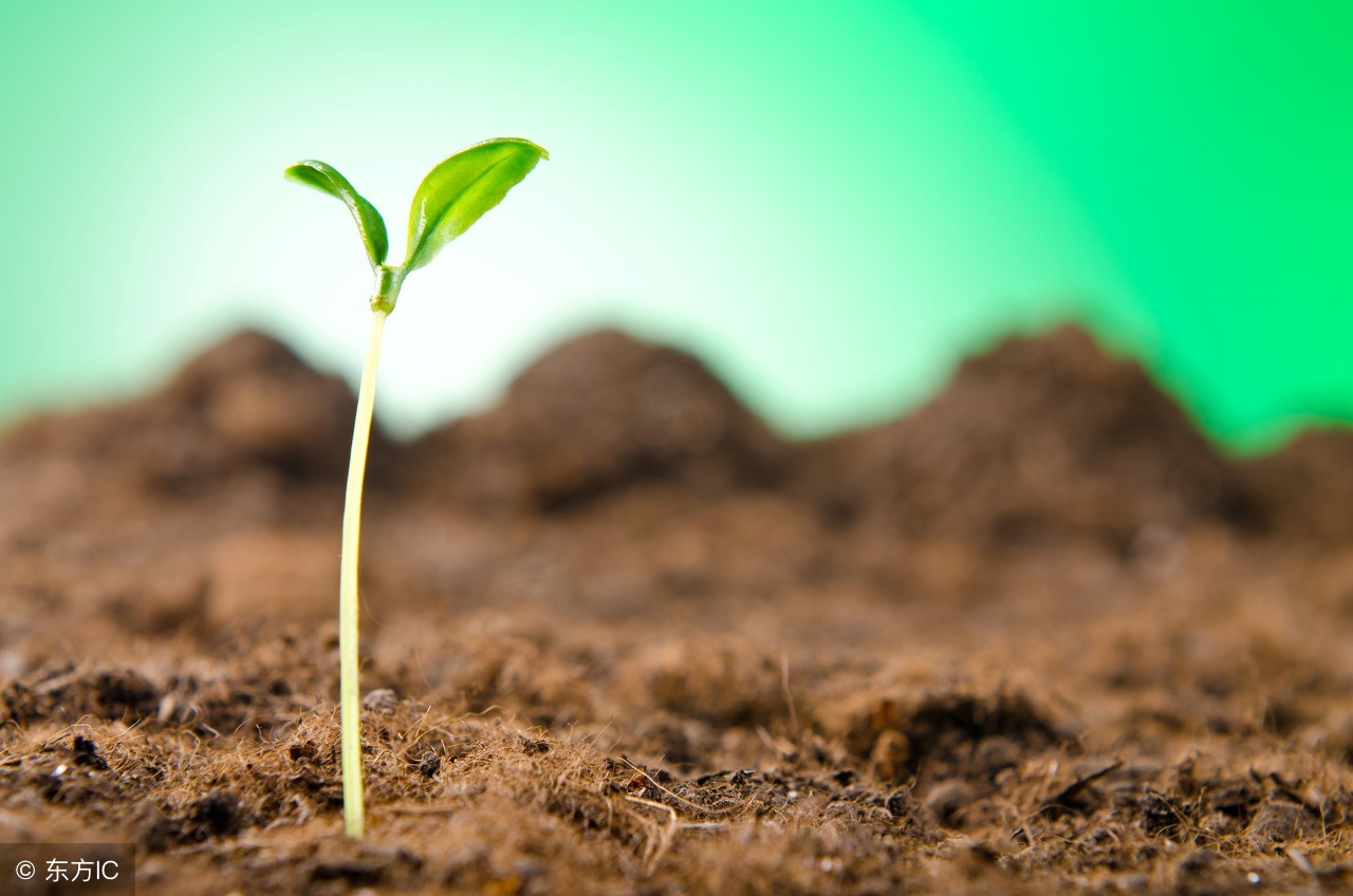 五行喜土是缺土的意思吗,什么是五行缺木的意思