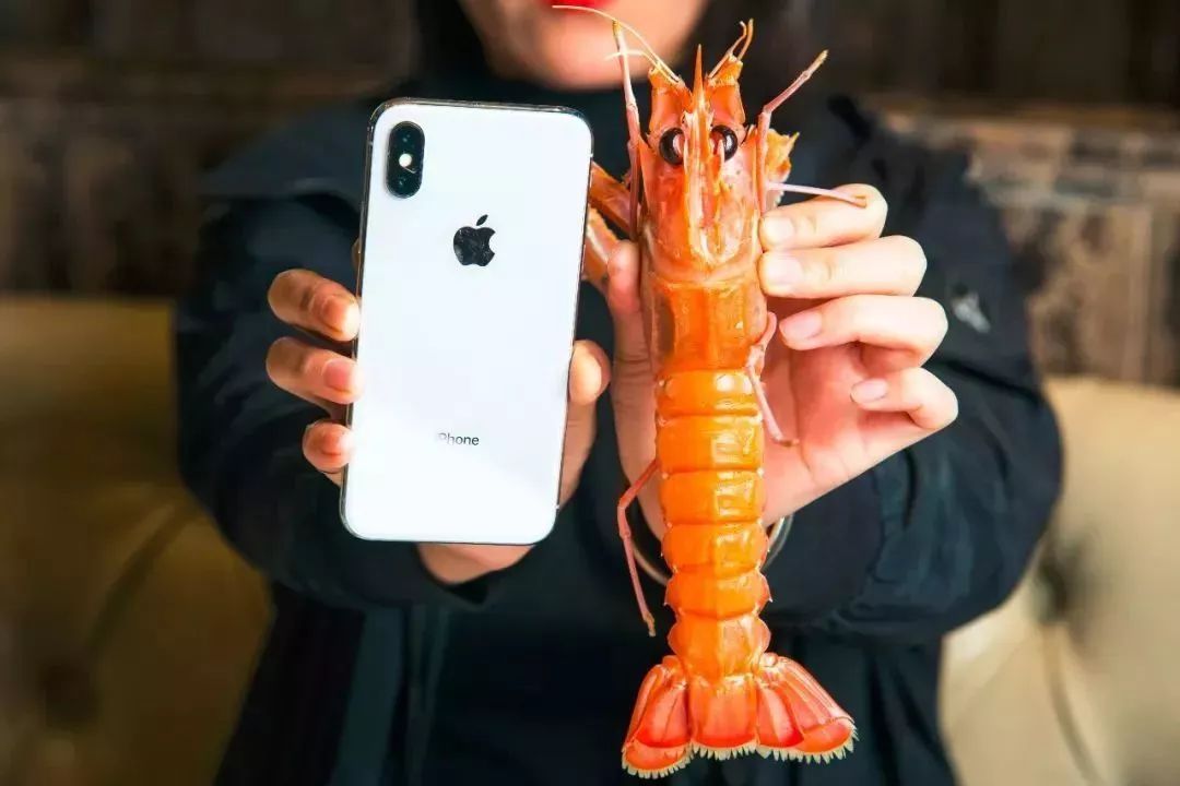 天津高端自助海鲜价位,天津顶级自助海鲜