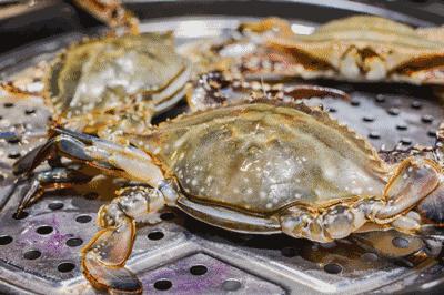 天津高端自助海鲜价位,天津顶级自助海鲜