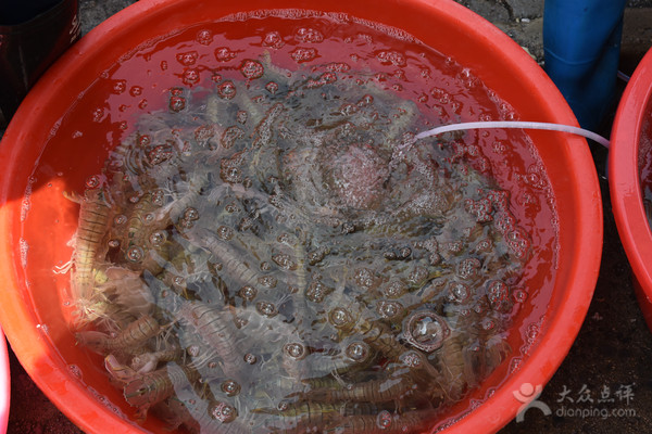 五一应季海鲜皮皮虾,又到了皮皮虾最肥美的季节