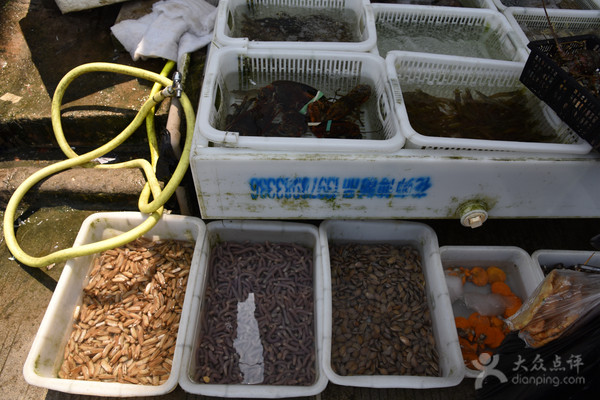 五一应季海鲜皮皮虾,又到了皮皮虾最肥美的季节