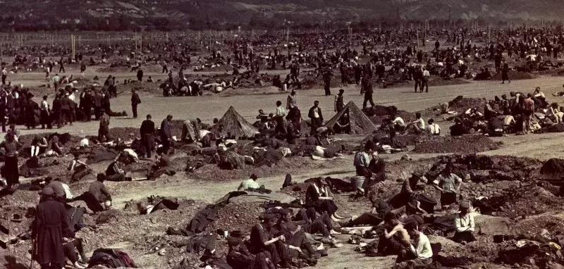 二战德军后期投降视频,假如你是二战德国坦克兵