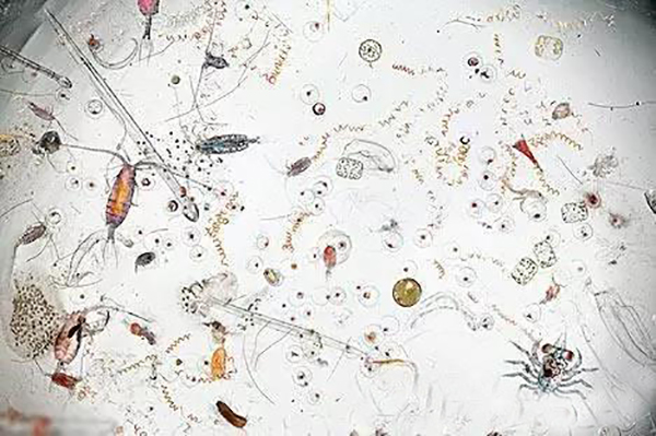 喜讯：史帝夫“净”万家大型赠送体验活动