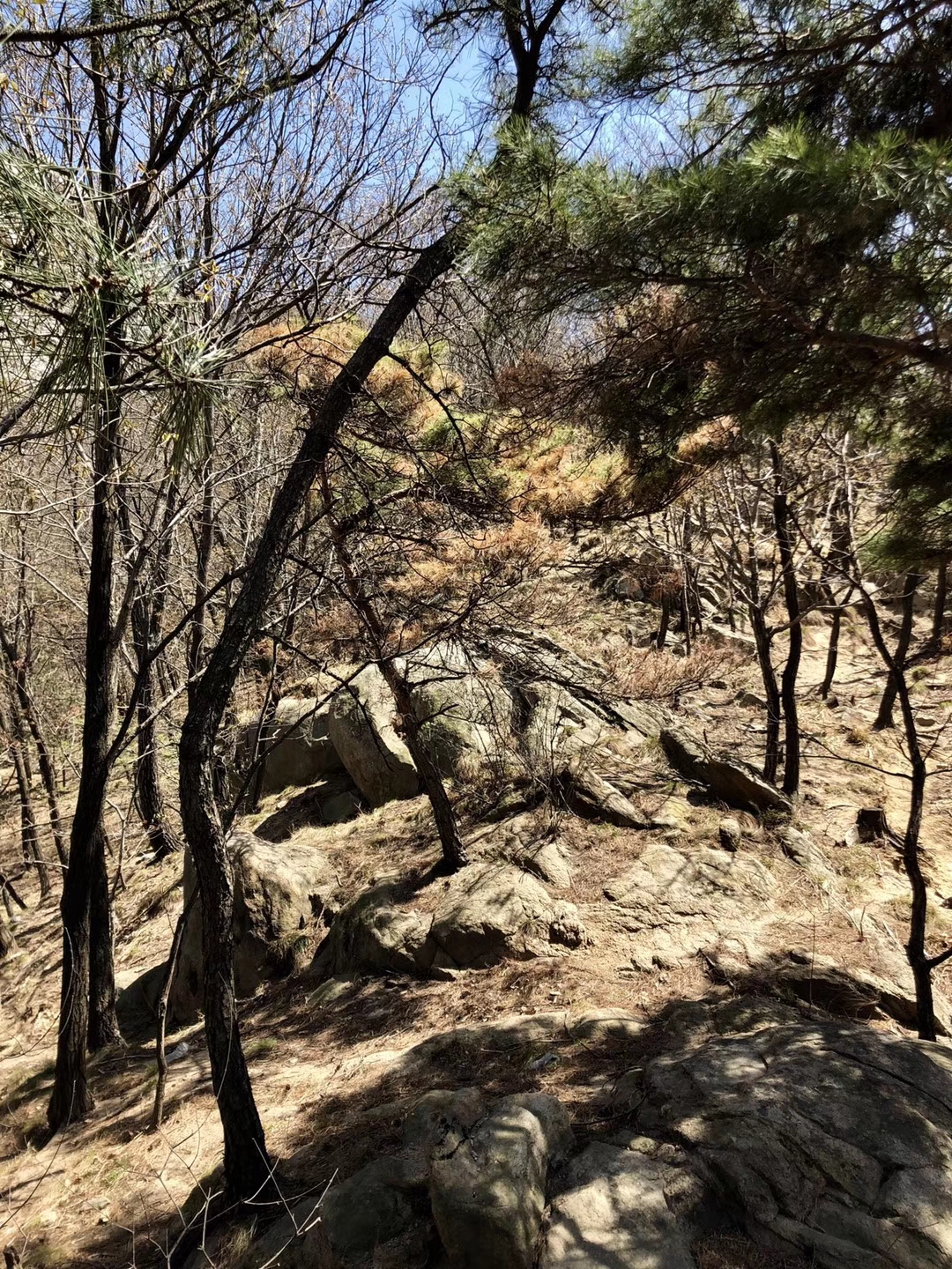 旧身份证与新身份证号码不一致,学历身份证与目前身份证不一致