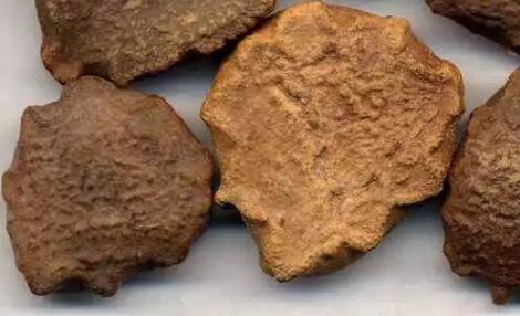 中药木鳖子多少钱一斤?有哪些功效与作用?有毒吗?