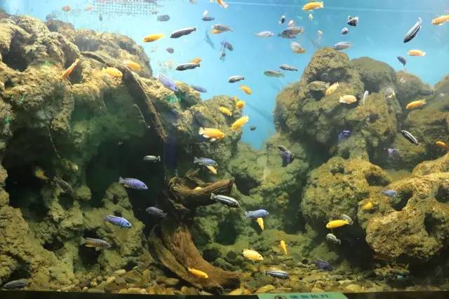 郑州火爆汗蒸,郑州汤悦温泉汗蒸馆